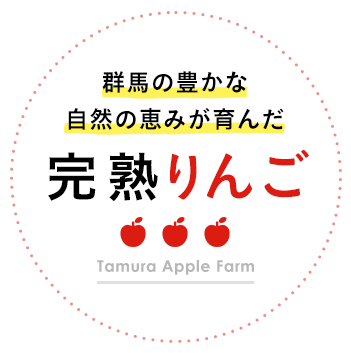 Ripe apples grown in the abundant nature of Gunma