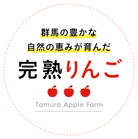 Ripe apples grown in the abundant nature of Gunma